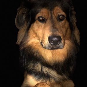 Meet your Posher, Jeffrey